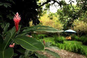 Casa Comalli & Spa Comala Εξωτερικό φωτογραφία